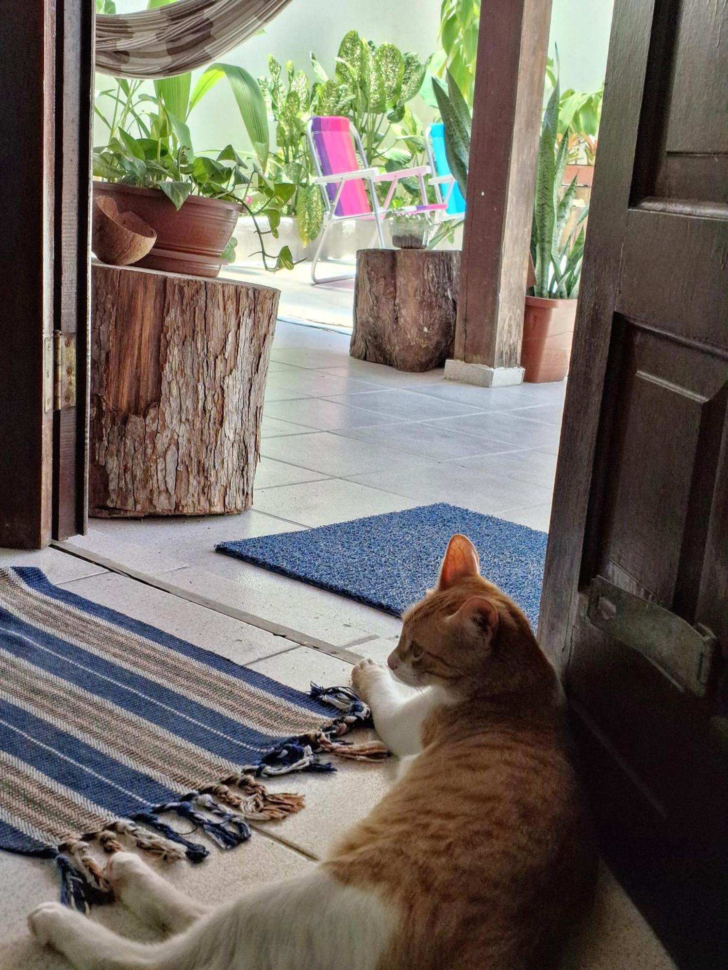 Odoya Casa Hostel Porto Seguro Zewnętrze zdjęcie